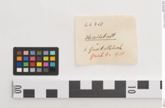 Etiketten zu Bronzegürtelblech (NHMW-PRAE-026413)